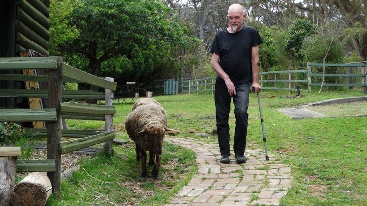 Man with a walking stick (David Brooks) walking on a path alongside a sheep in a garden