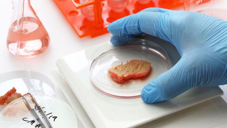 cultured meat in a petri dish on top of a white scale with a hand with a rubber glove holding it next to metal tweezers and a beaker with liquid