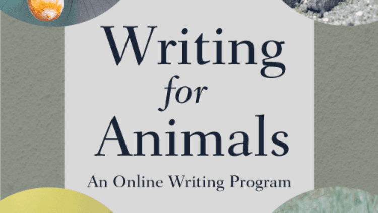 Writing for Animals online writing program promotional poster