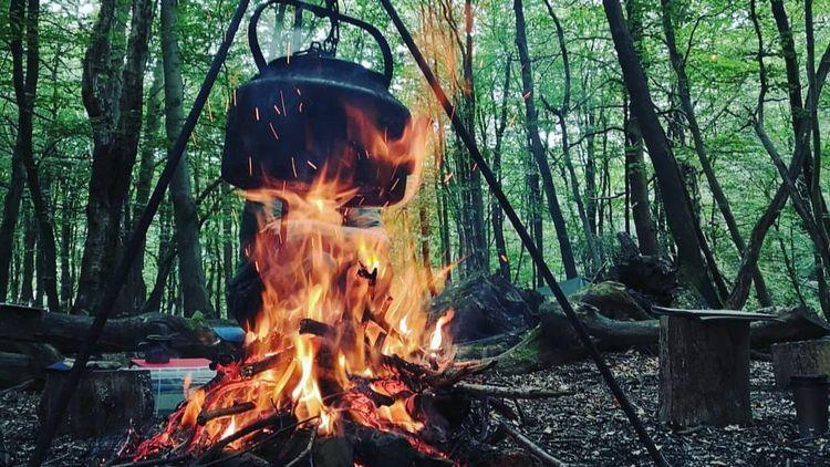 An open camp fire heating up an iron pan in the forest to cook a meal