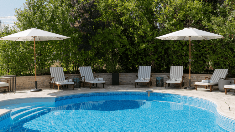 Swimming pool with loungers and trees surrounding it