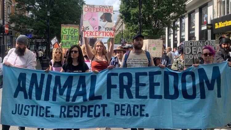 Vegan protestors holding placards and a large banner with ‘Animal Freedom’ spelt out on it during the National Animal Rights March 2023 in London