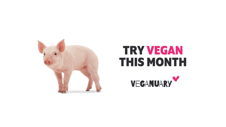 Piglet next to text which reads, “Try vegan this month. . .  Veganuary.”